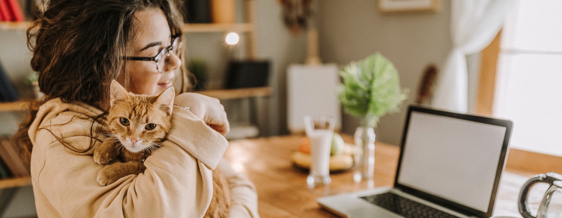person with cat and laptop