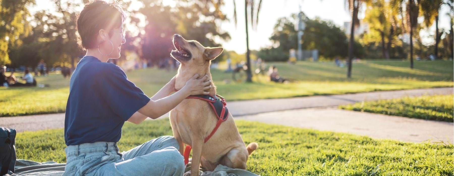 a person sitting on a bench with a dog
